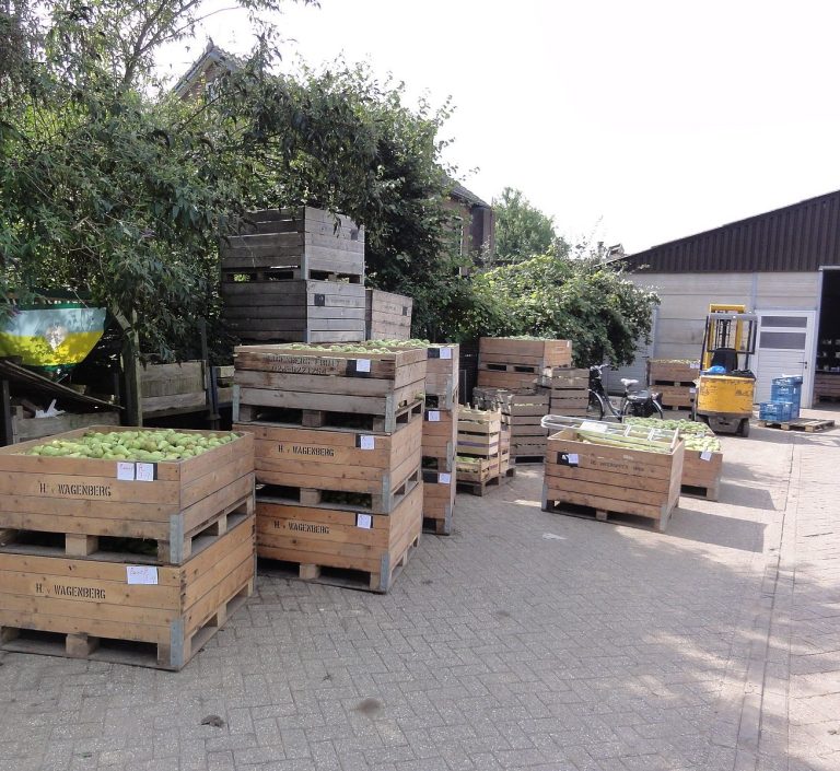 Bildquelle: Havang(nl), Beuningen fruit oogsttijd 5, CC0 1.0